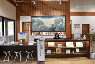 Information counter