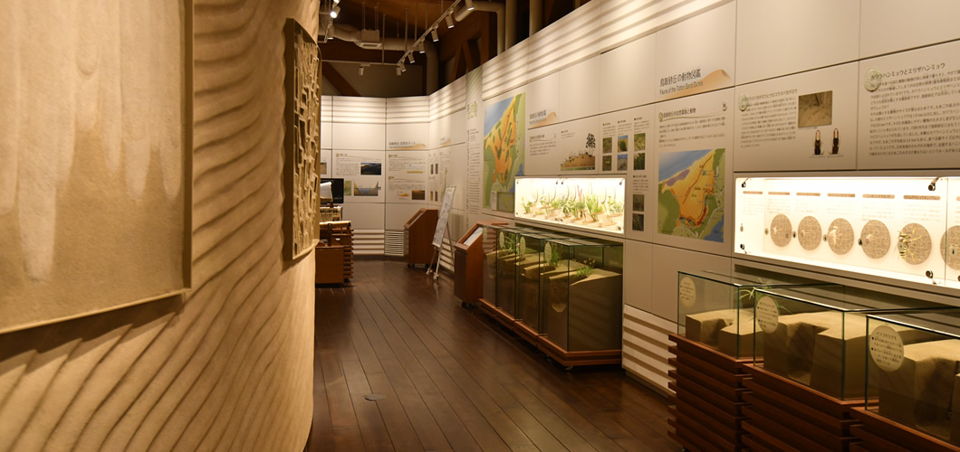 Learn about the sand dunes with pictures, specimens, and exhibits