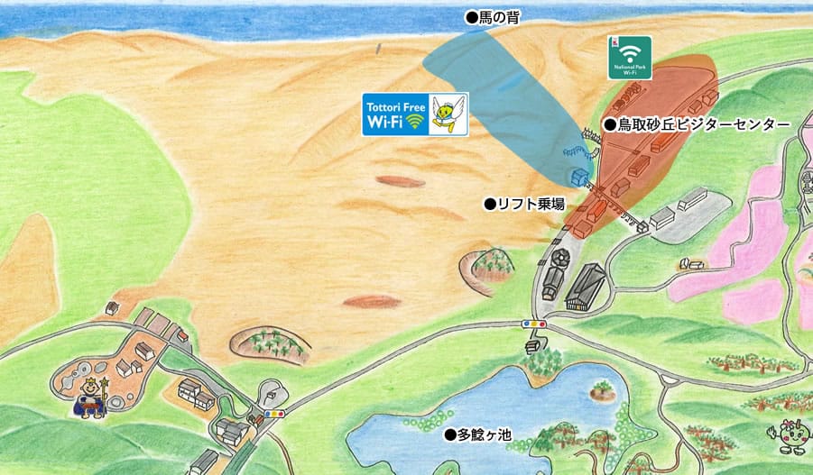 運営者情報 | 鳥取砂丘 観光ガイド Tottori Sand Dunes Travel Guide